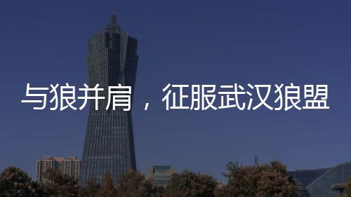 武汉狼盟：构建共享经济时代的城市智慧生态